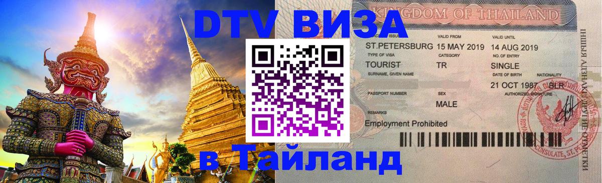 Оформление DTV визы под ключ: стоимость и тарифы, только загранпаспорт - Кемерово  03.10.2025 